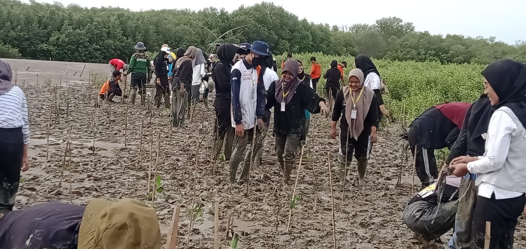 Ratusan mahasiswa dari Forum Keluarga Mahasiswa Pati Universitas Tidar Magelang di pantai Desa Tluwuk belum lama ini