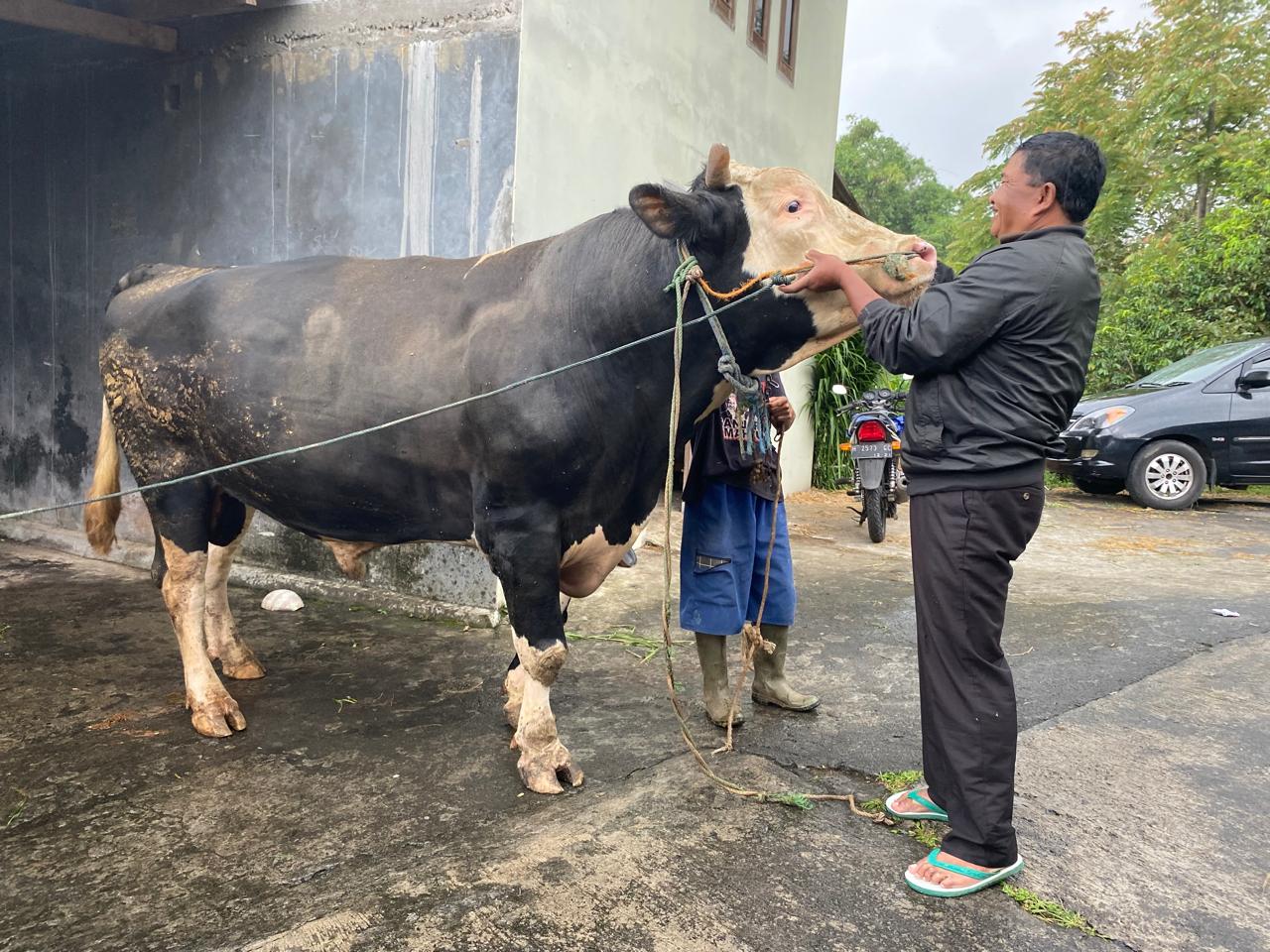 Kisah Sukses Peternak di Jateng, Saat Iduladha Jadi Langganan Pejabat hingga Presiden