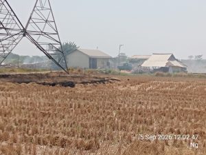 Kabupaten Pekalongan 