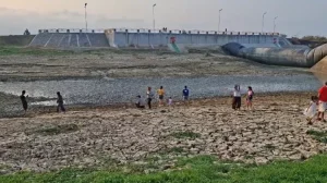 Kemarau Panjang, 1.300 Hektare Tambak di Pati Kekurangan Air